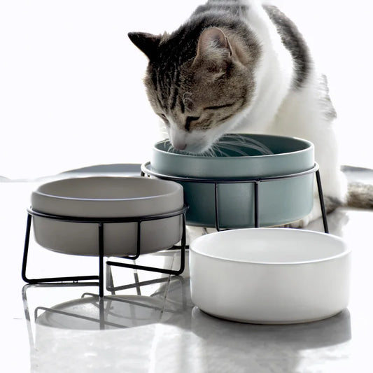 Ceramic Food and Water Bowls with Iron Stand