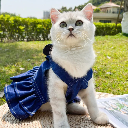 Denim Dog Harness with Bow Tie