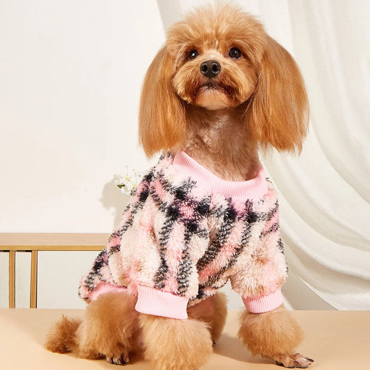 Woolen Sweater for Small Dogs